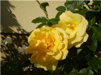 95df9894-Picture 6537.jpg